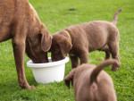 samen met mama water drinken